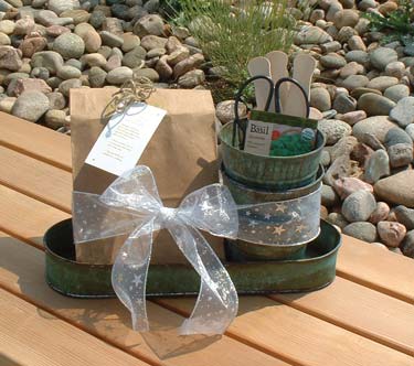 
Amaryllis or paperwhite narcissus bulbs, wrapped up with everything required for planting, make a great holiday gift for the winter weary.
